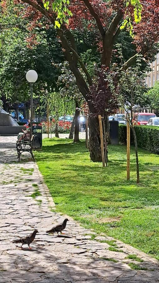 Apartman Jaki Zagabria Esterno foto